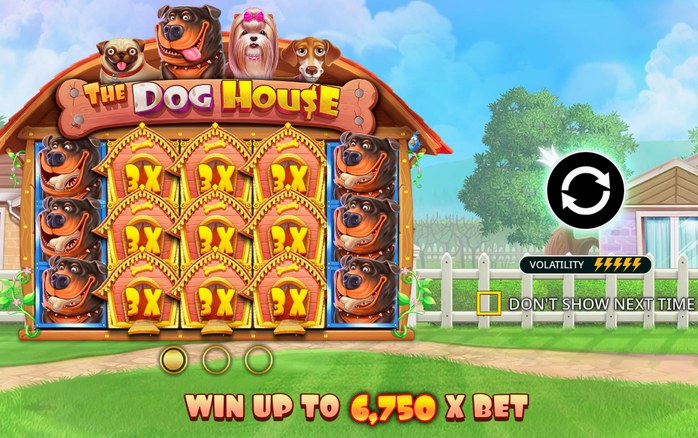 The Dog House